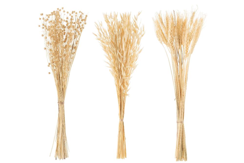 Emob Bundel Gedroogde Bloemen Naturel Assortiment Van 3