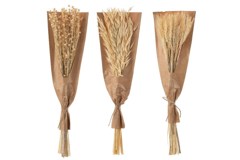 Emob Bundel Gedroogde Bloemen Naturel Assortiment Van 3