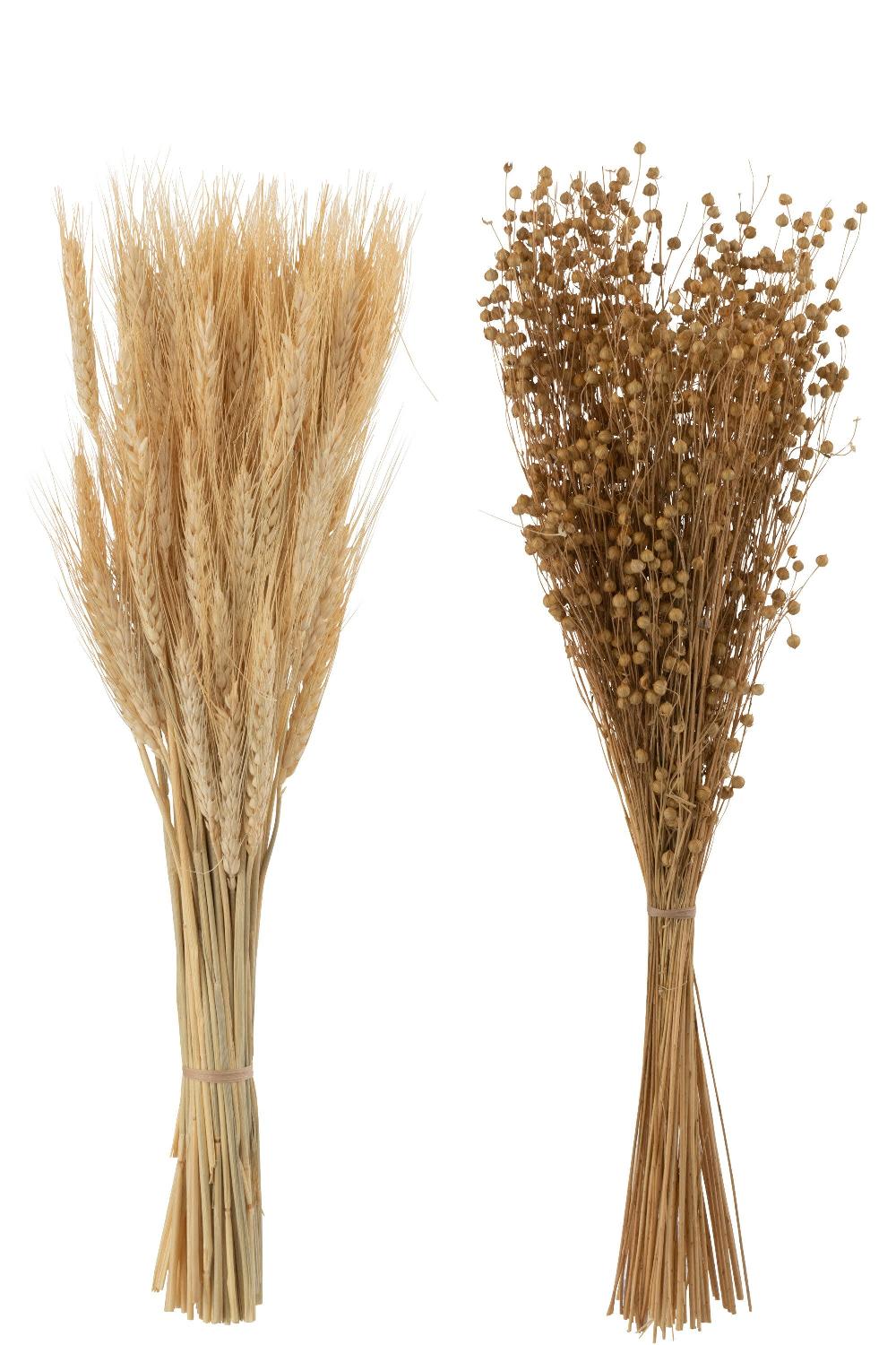 Emob Bundel Gedroogde Vlas+tarwe Grass Naturel Assortiment Van 2