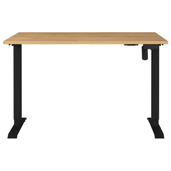Emob Elektrisch Verstelbaar Bureau Ergoflex - 120x80x120cm - Eikdecor/zwart