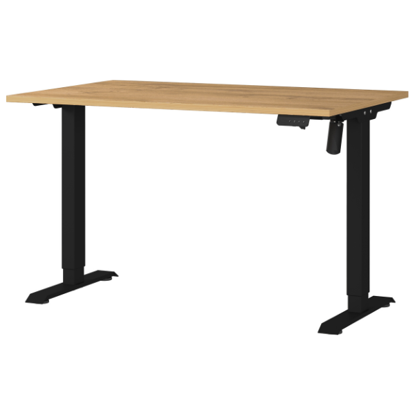 emob Elektrisch verstelbaar bureau Ergoflex - 120x80x120cm - eikdecor/zwart