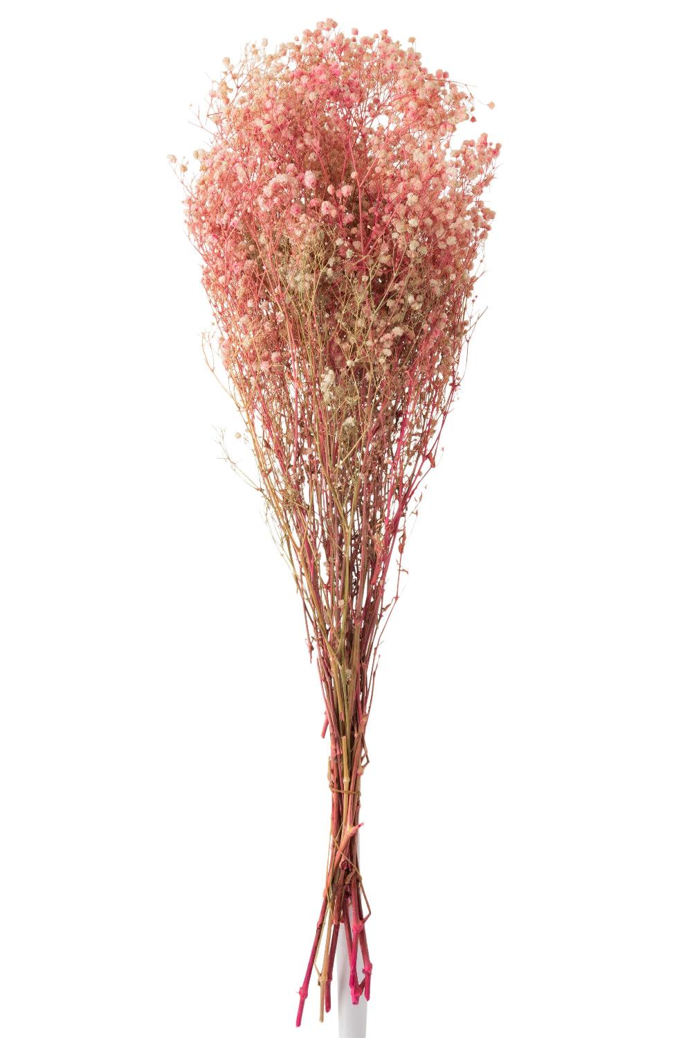 Emob Bundel Gypsophilia Gedroogd Roze
