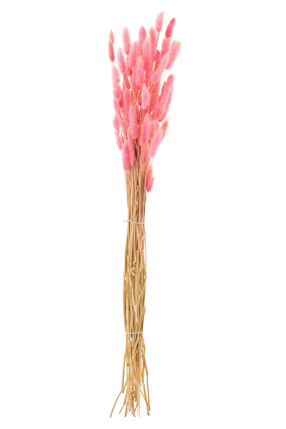 emob Bundel hazenstaart gedroogd roze