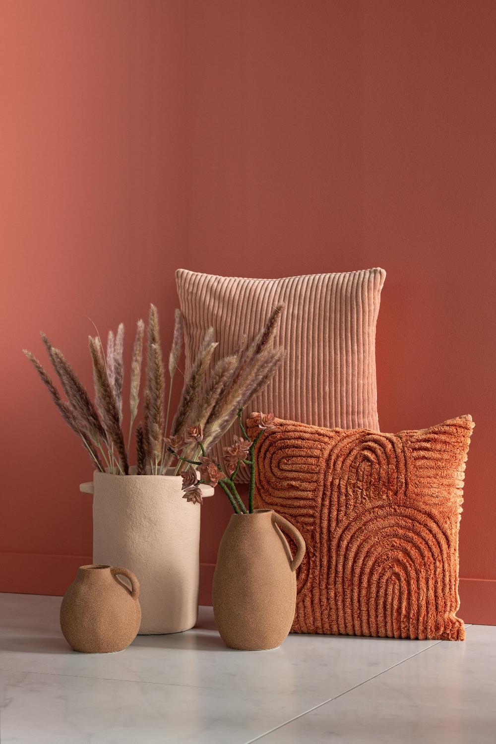 Emob Bundel Pennisetum Gedroogd Gras Bruin