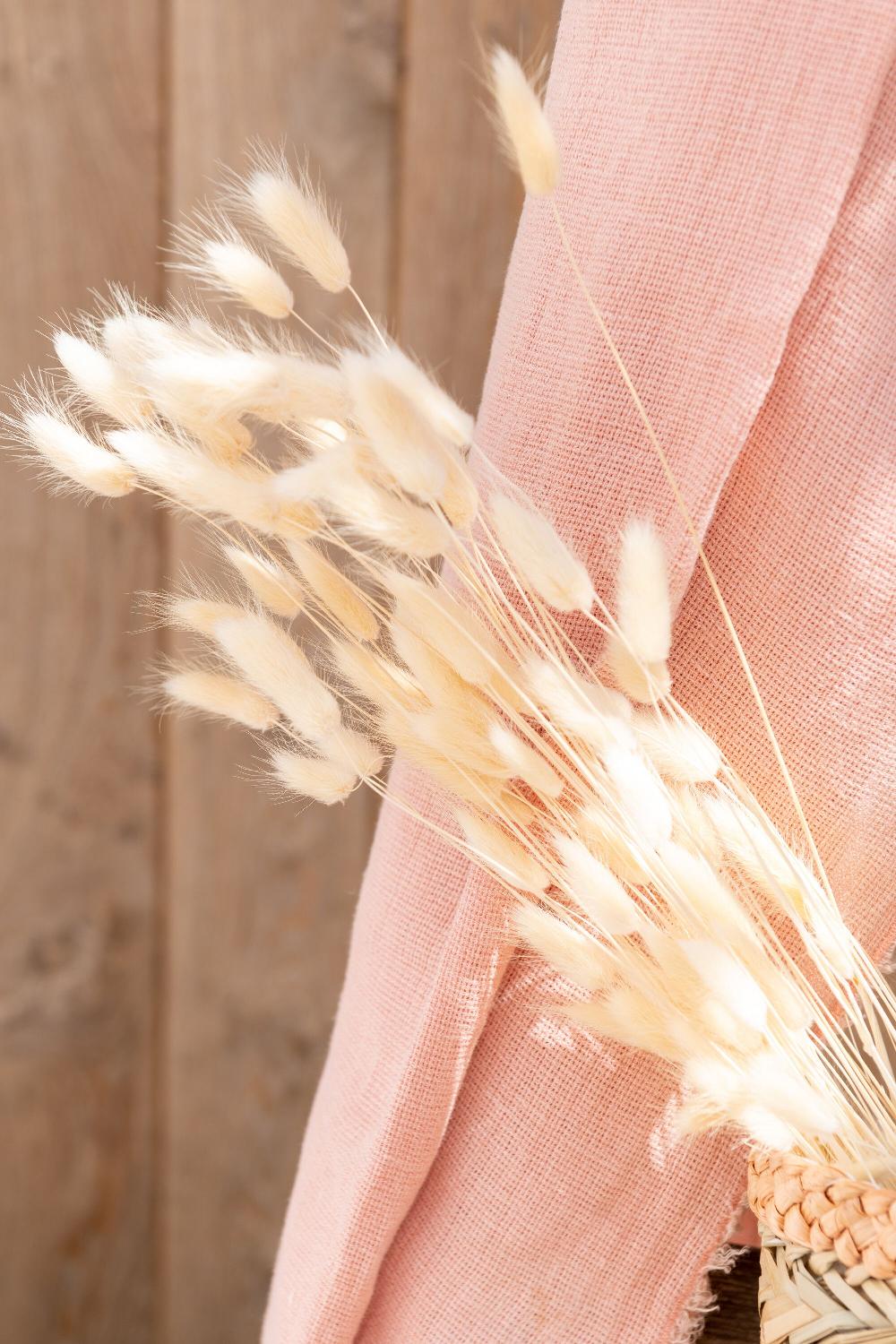 Emob Bundel Pluim Hazenstaart Gedroogd Ecru Large