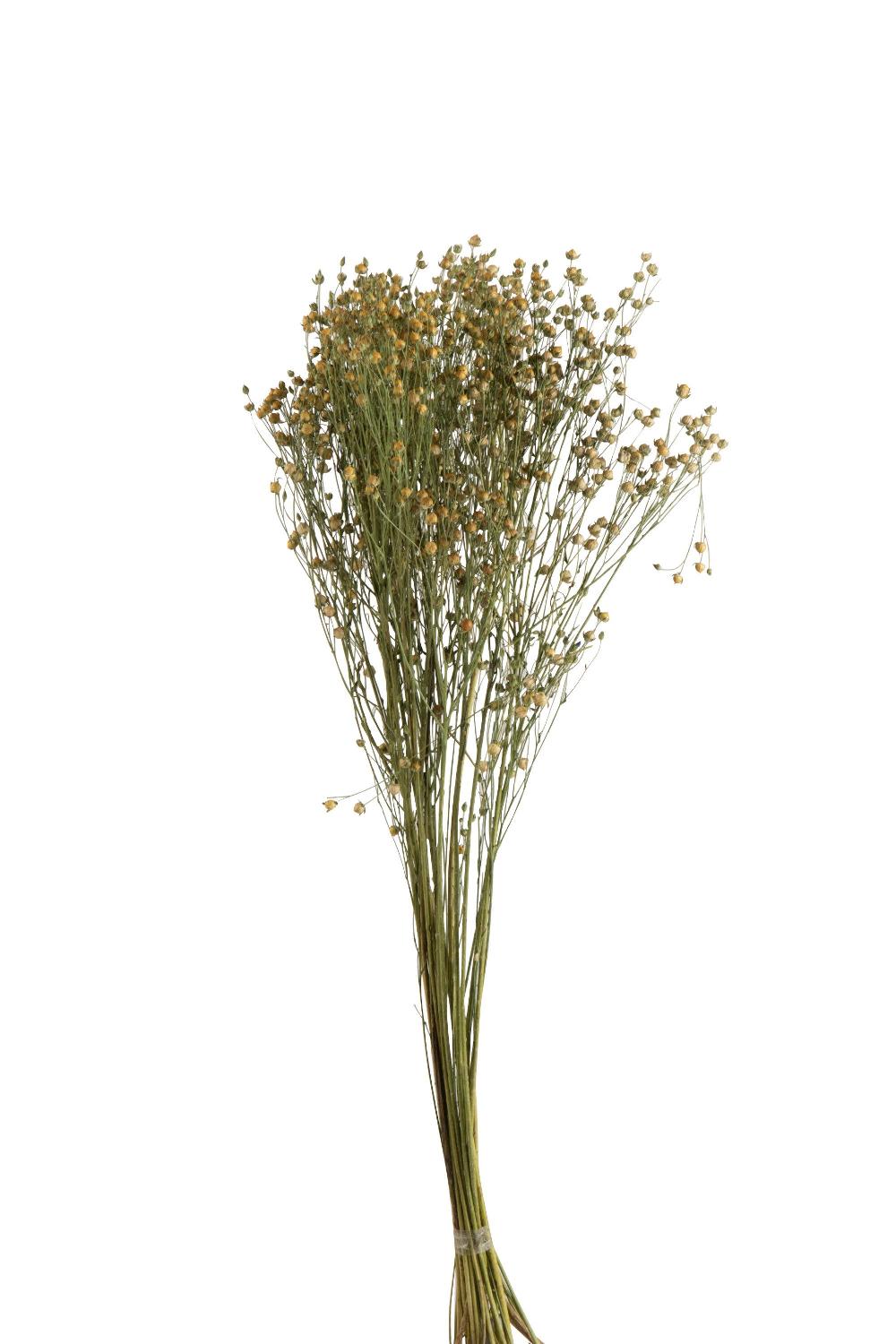 Emob Bundel Vlasbloem Gedroogd Vlas Geel