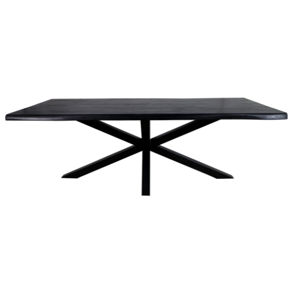 emob Eettafel Davor 220x100cm - zwart