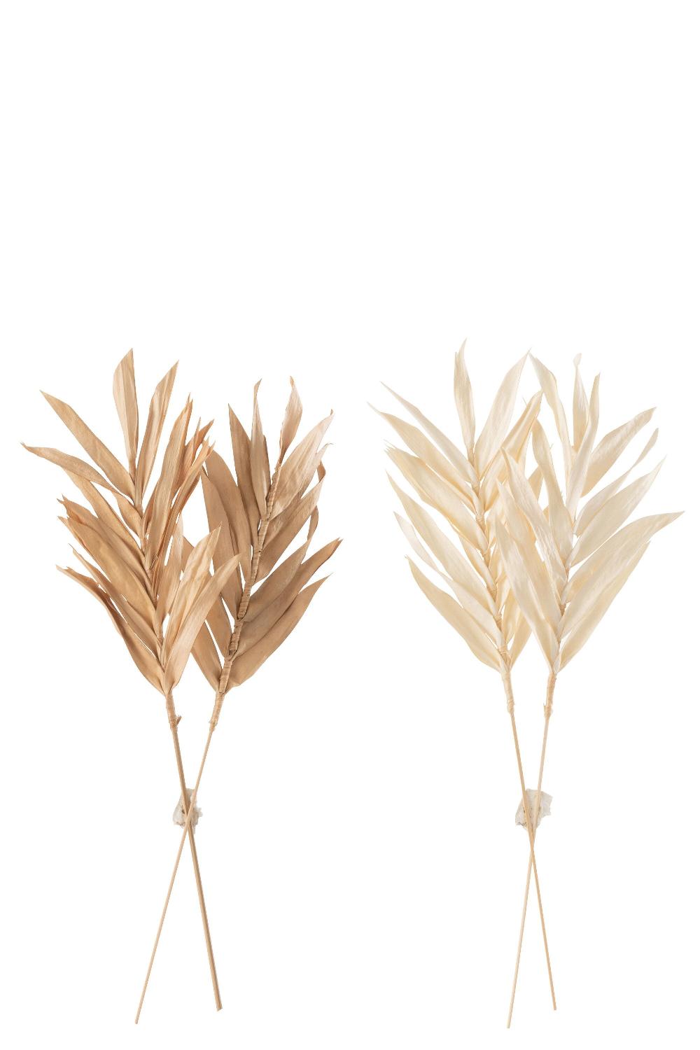 Emob Gedroogde Bladeren 2 Stukken Naturel Small Assortiment Van 2
