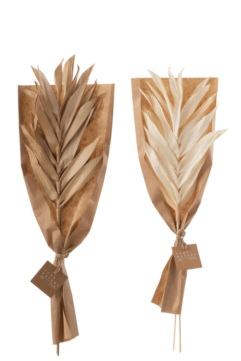 emob Gedroogde bladeren 2 stukken naturel small assortiment van 2