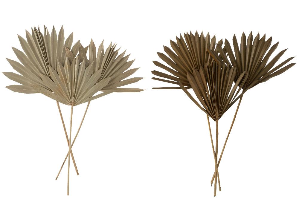 Emob Gedroogde Palmboom Bladeren 2 Stukken Groen Assortiment Van 2
