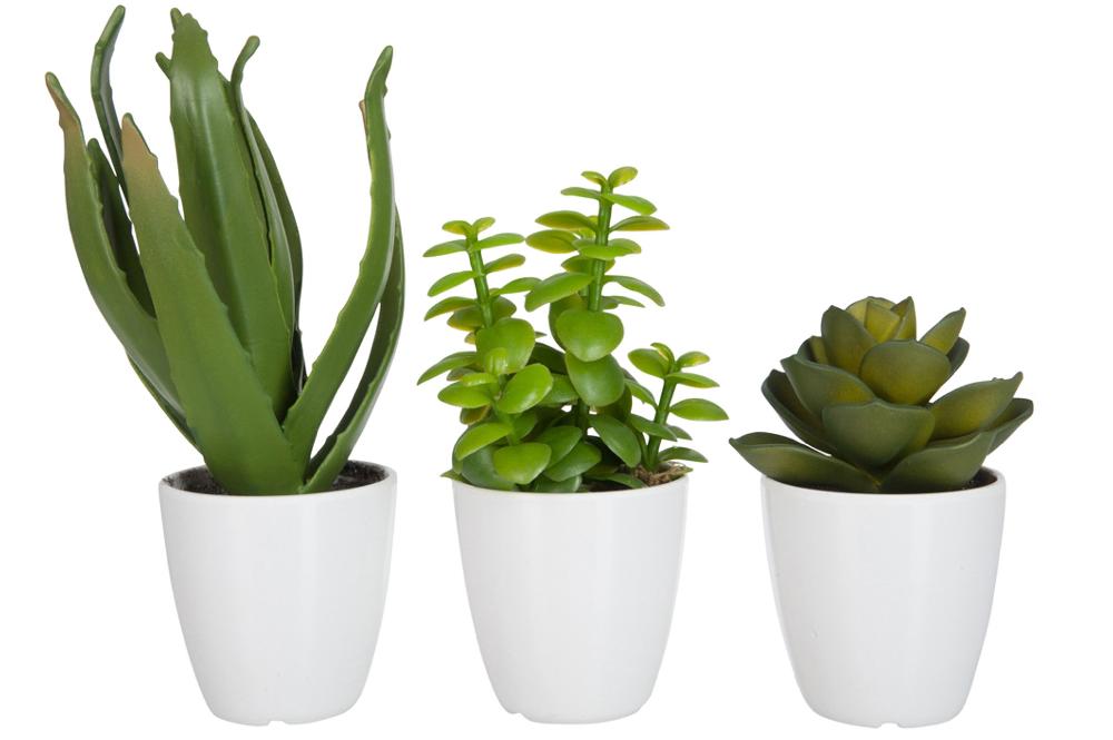 Emob Vetplant/aloe Vera/lotus+pot Groen Melamine Wit Small Assortiment Van 3