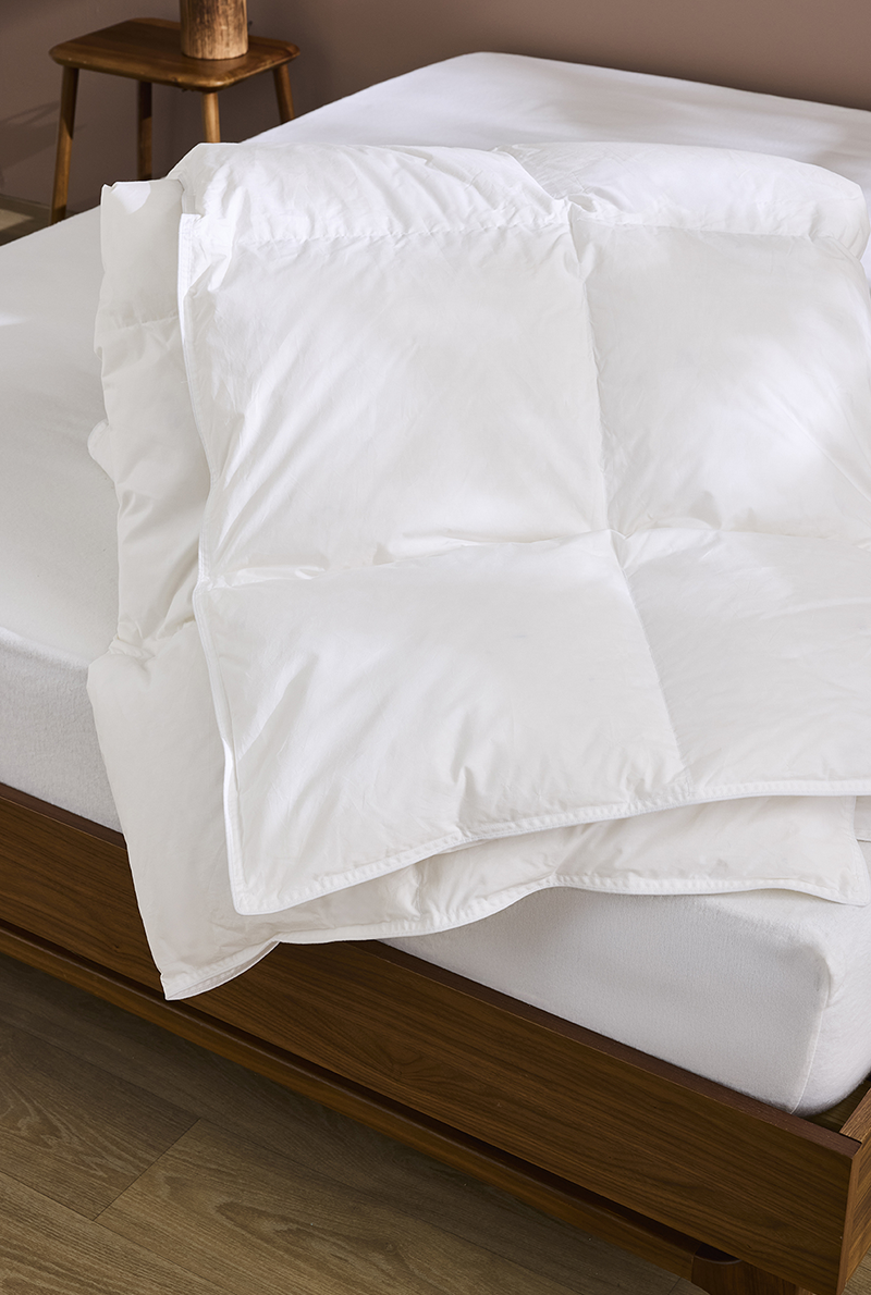 Essix Home Collection Couette Légère En Percale De Coton Céleste