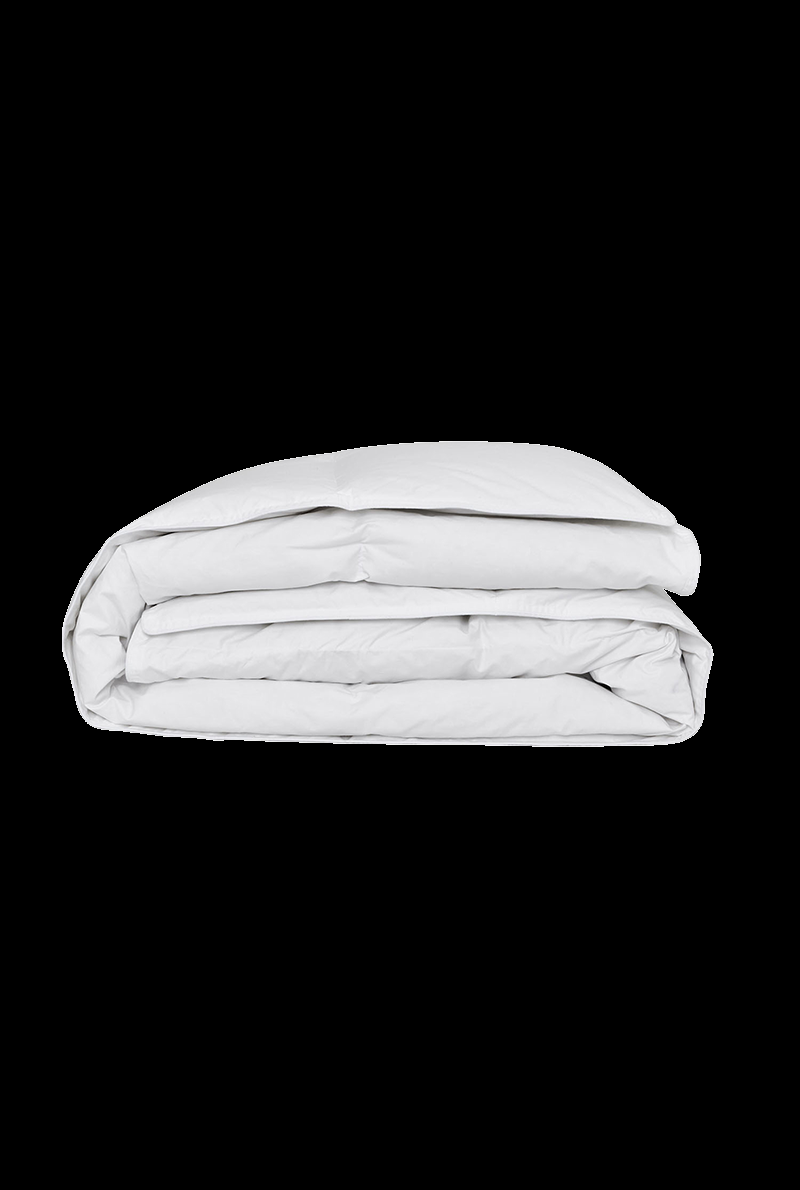 Essix Home Collection Couette Légère En Percale De Coton Céleste