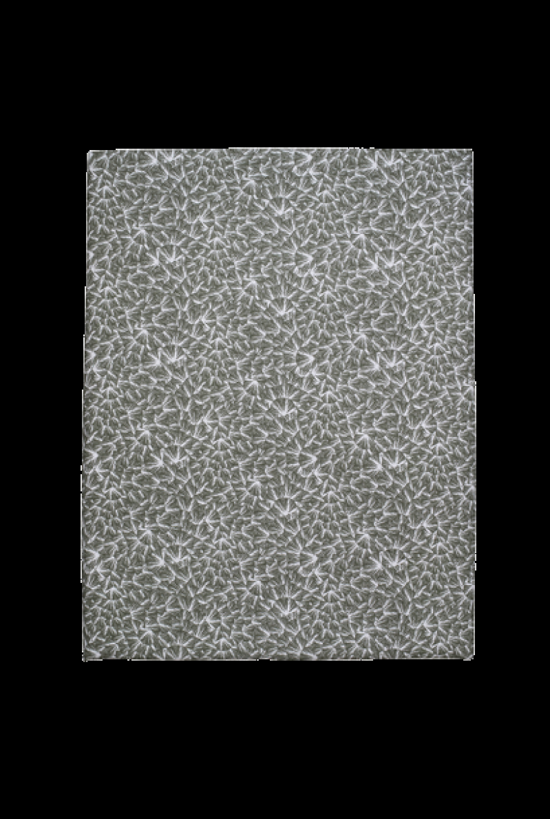 essix home collection Drap plat en percale de coton Osmose