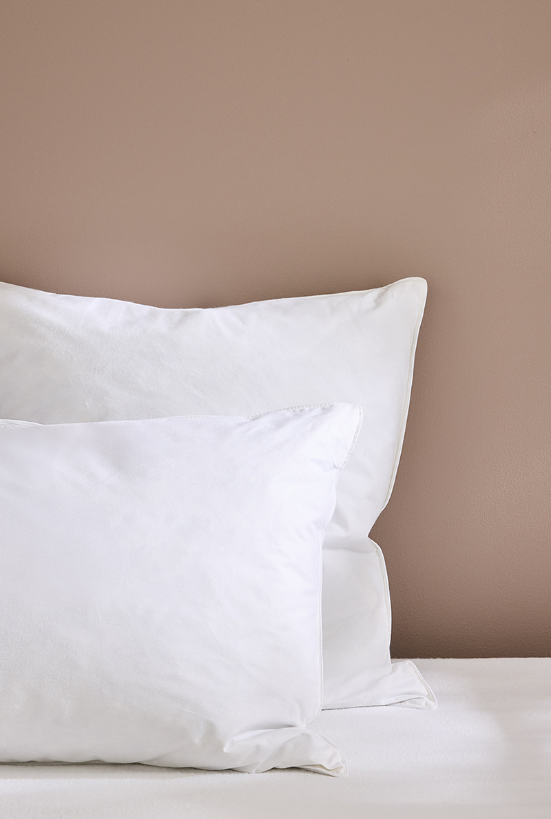 Essix Home Collection Oreiller Naturel Moelleux