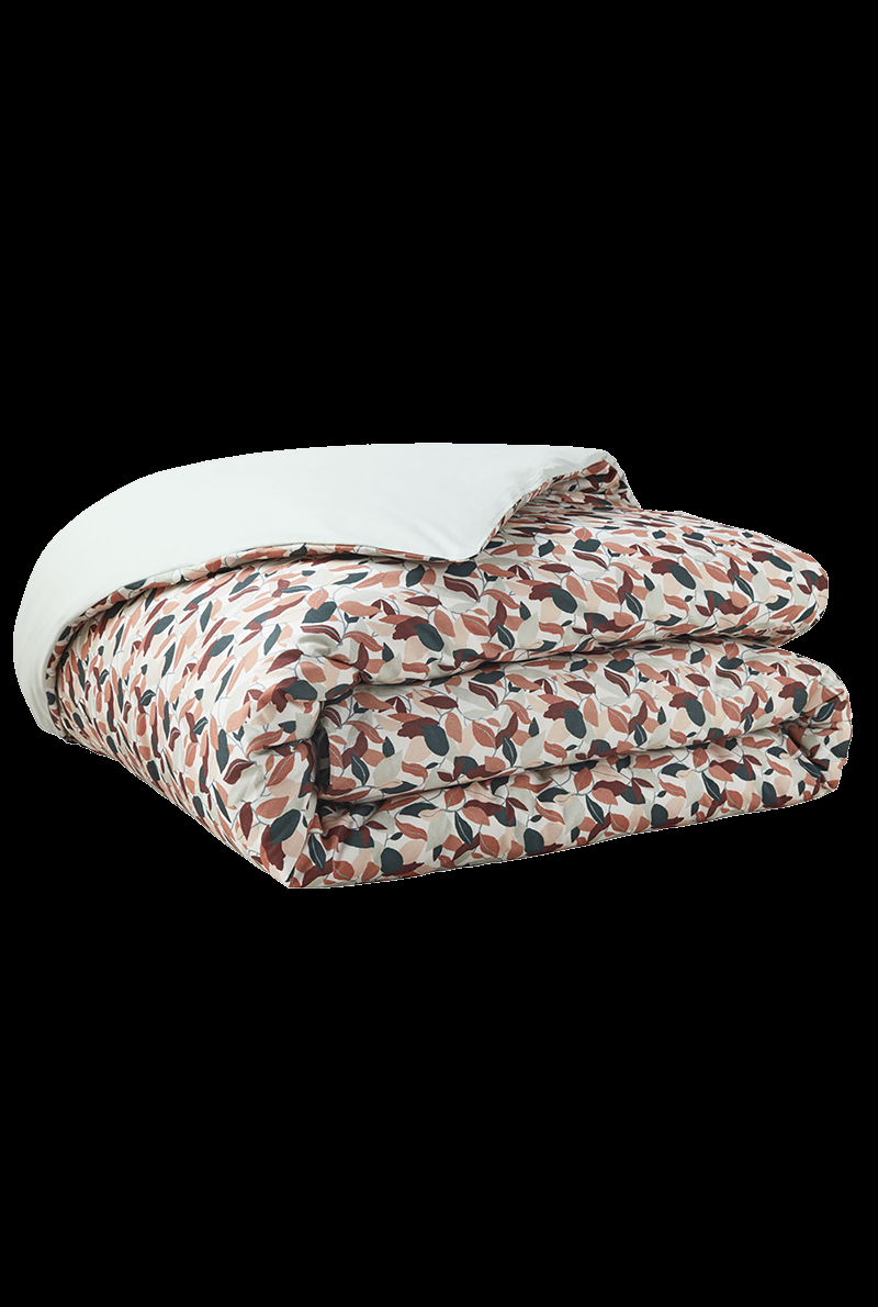 Essix Home Collection Housse De Couette En Percale De Coton Murmure