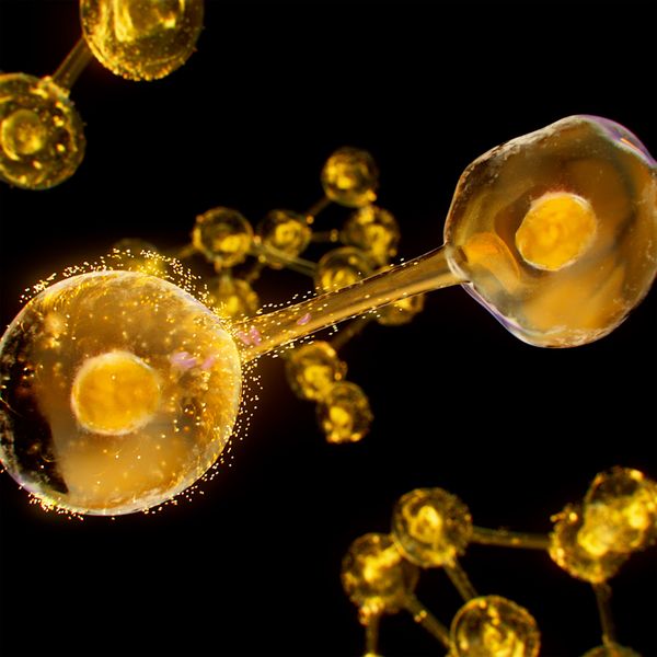 Esthederm EXCELLAGEᴺᵀ CRÈME