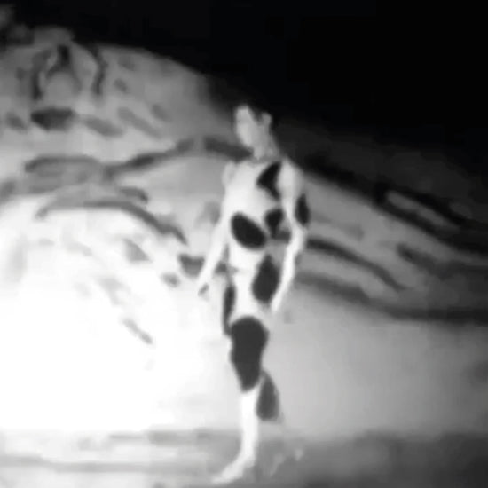 Etat Libre D'orange THE AFTERNOON OF A FAUN