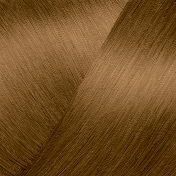 Eugene Perma Les Dorés - Crèmes Colorantes 8*3 - Blond Clair Doré