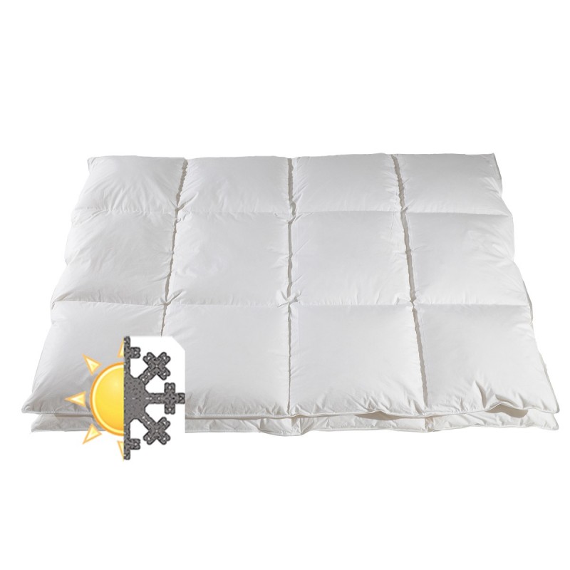 Europe & Nature Couette 90% Duvet D'oies - Coton Organique