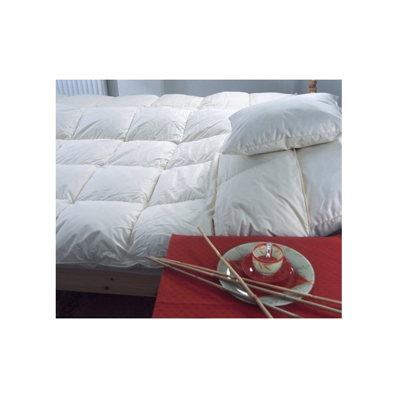 Europe & Nature Couette 90% Duvet D'oies - Coton Organique
