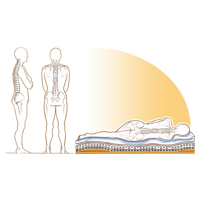 Europe & Nature Matelas Latex Naturel + Coton Organique + Laine (Epais)