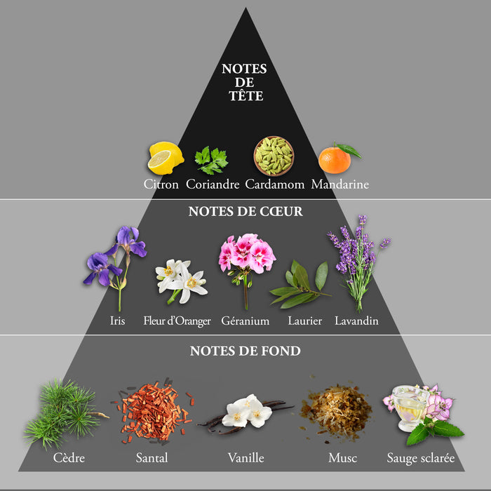 Evaflor Paris WHISKY BLACK • Coffret Eau De Toilette 100 Ml Une Serviette Et Un Money Clip • Parfum Homme