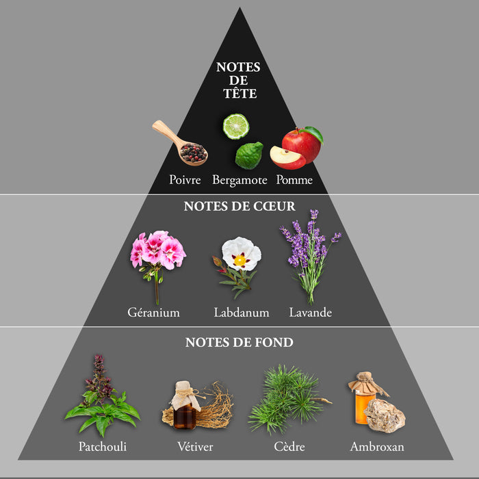 Evaflor Paris WHISKY BLACK OP • Coffret Eau De Toilette 100 Ml Une Serviette Et Un Money Clip • Parfum Homme