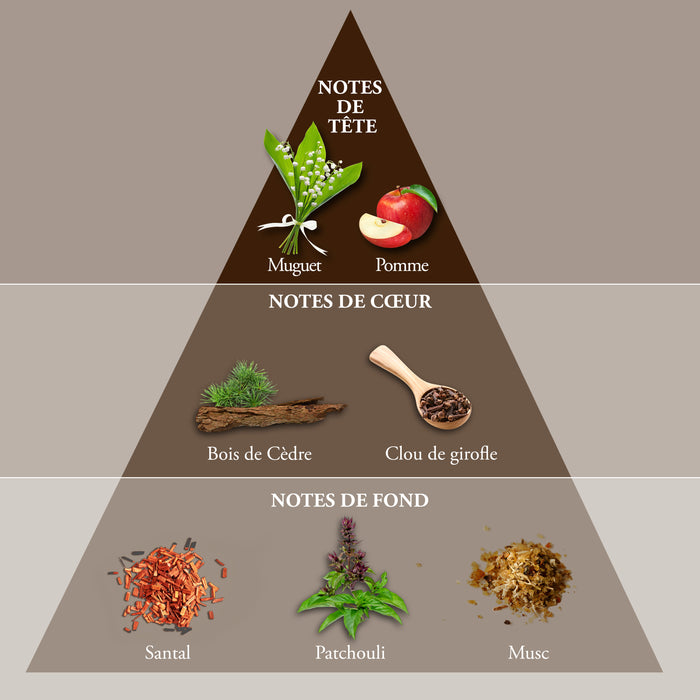 Evaflor Paris WHISKY DOUBLE • Eau De Toilette 100 Ml • Parfum Homme