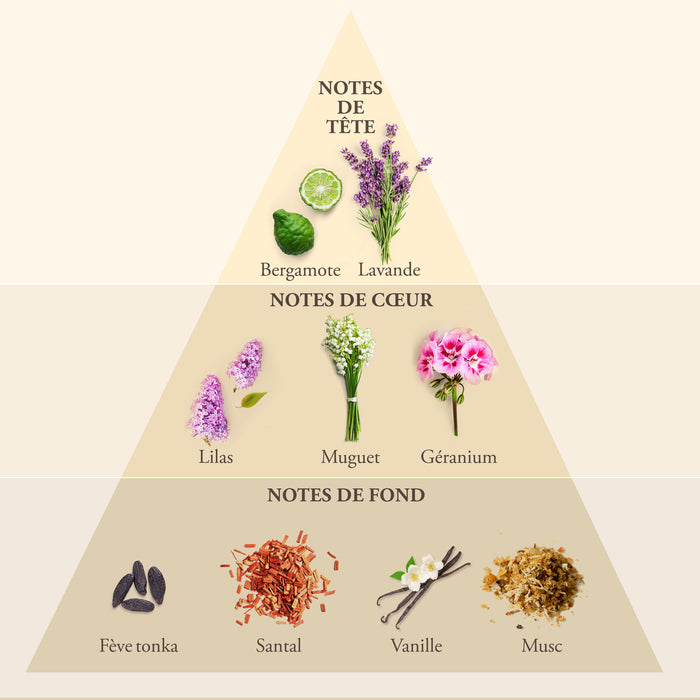 Evaflor Paris WHISKY FOR MEN • Eau De Toilette 100 Ml • Parfum Homme