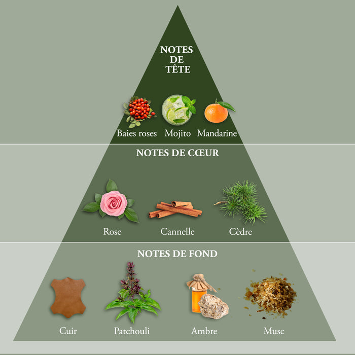 Evaflor Paris WHISKY ORIGIN • Eau De Toilette 100 Ml • Parfum Homme