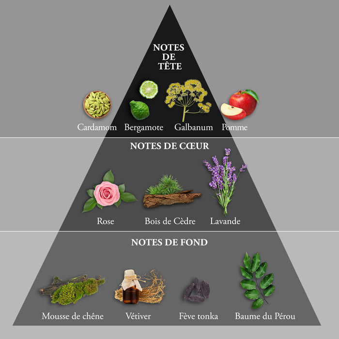 Evaflor Paris WHISKY RED • Coffret Eau De Toilette 100 Ml Une Serviette Et Un Money Clip • Parfum Homme