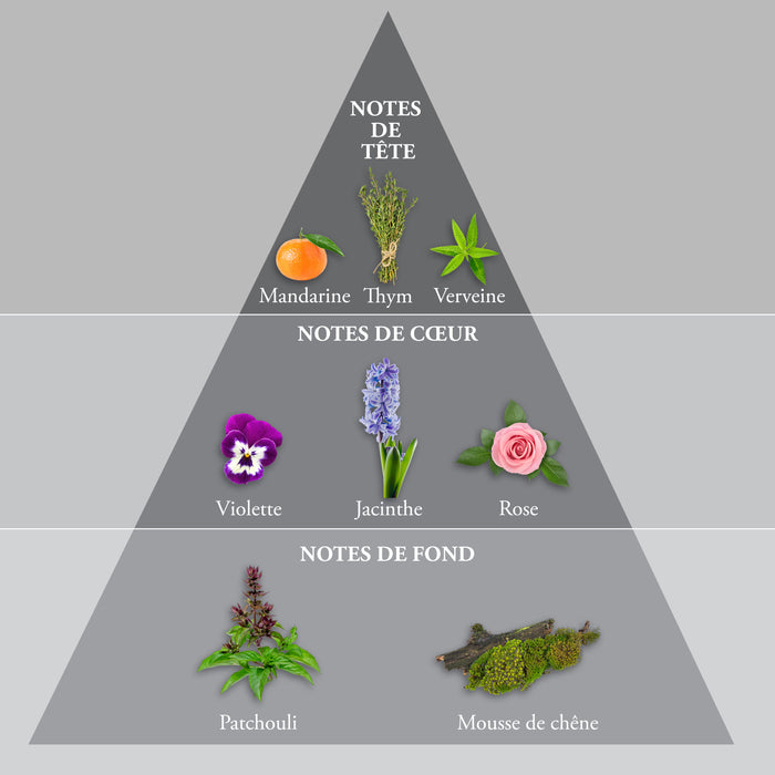 Evaflor Paris WHISKY SILVER • Coffret Eau De Toilette 100 Ml Une Serviette Et Un Money Clip • Parfum Homme