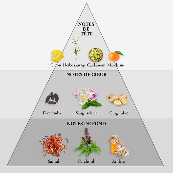 Evaflor Paris WHISKY SPORT • Eau De Toilette 100 Ml • Parfum Homme