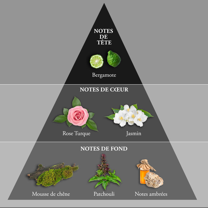 Evaflor Paris WHISKY SUGAR SKULL • Coffret Eau De Toilette 100 Ml Une Serviette Et Un Money Clip • Parfum Homme