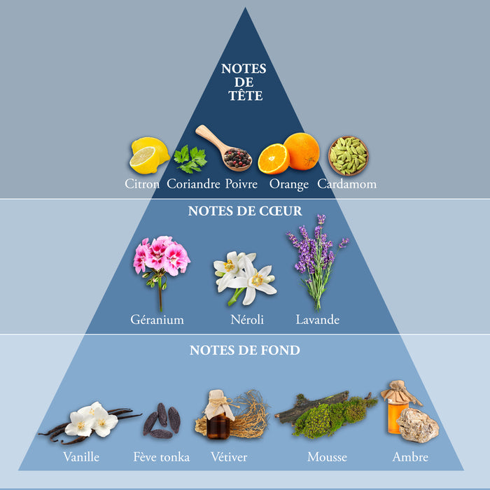 Evaflor Paris WHISKY VINTAGE • Coffret Eau De Toilette 100 Ml Une Serviette Et Un Money Clip • Parfum Homme