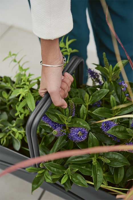 Fermob JARDINIÈRE LONGUE