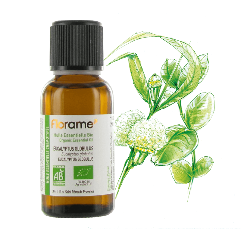 florame Huile Essentielle d'Eucalyptus Globulus Biologique