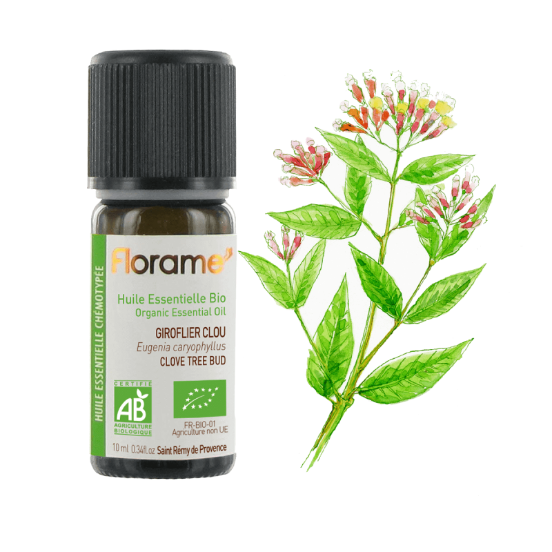 florame Huile Essentielle de Giroflier Clou Biologique