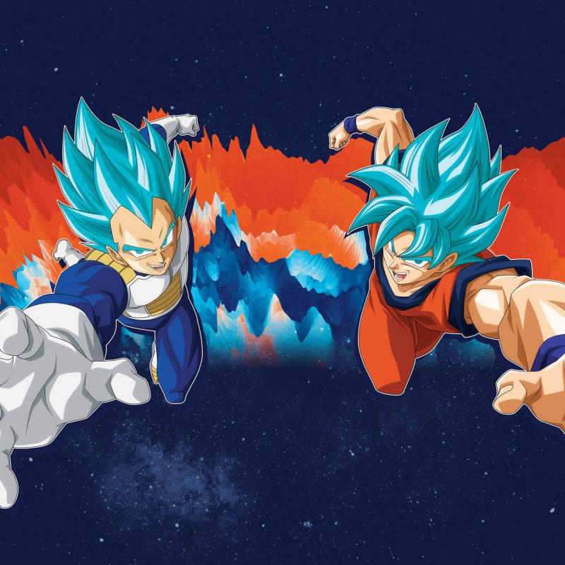 Freegun Lot De 3 Boxers Microfibre Garcon Dragon Ball Super Goku Vegeta Vegetto Beerus Imprimé