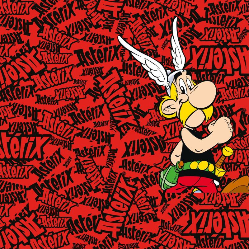 Freegun Lot De 4 Boxers Microfibre Garcon Asterix Et Obelix Imprimé