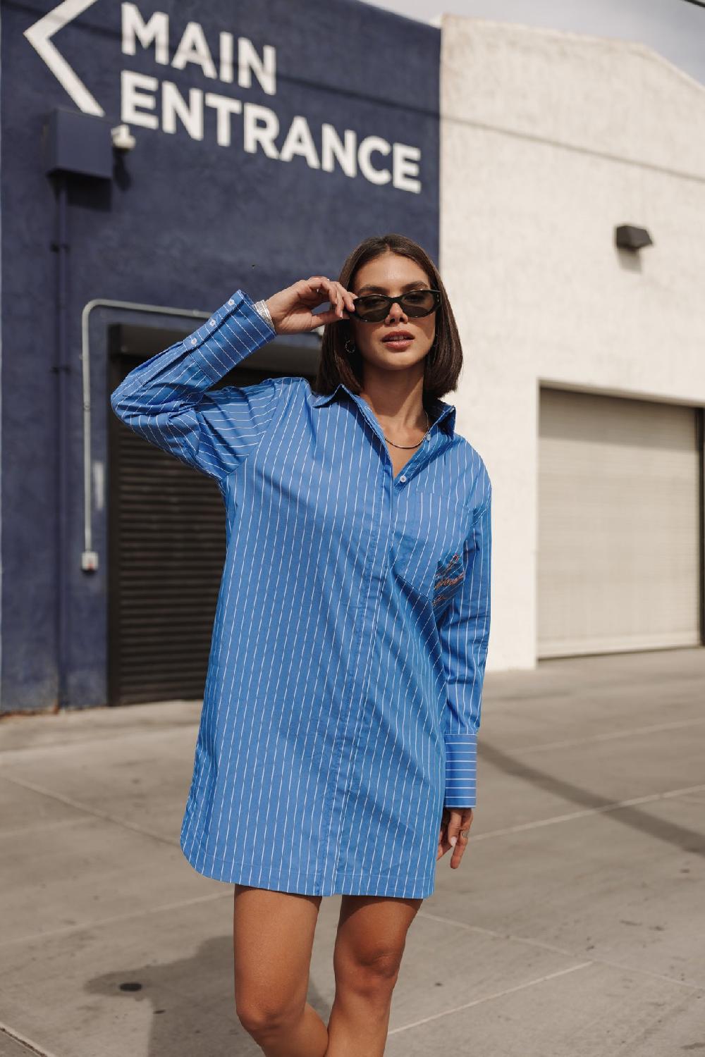 freeman t. porter Restine Boyfriend Robe chemise loose Femme granada sky