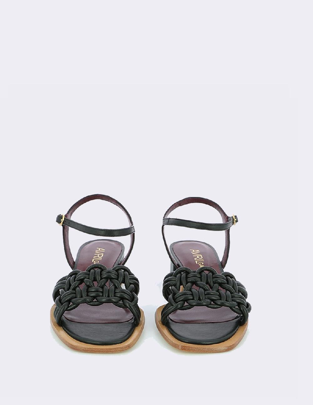 French Trotters Ag Gedy