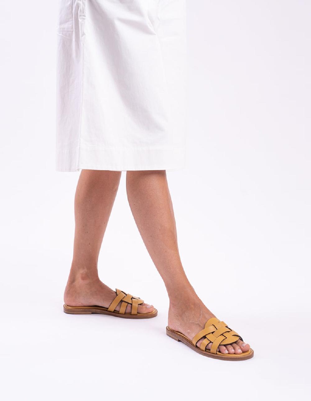 French Trotters Ag Toro Sn