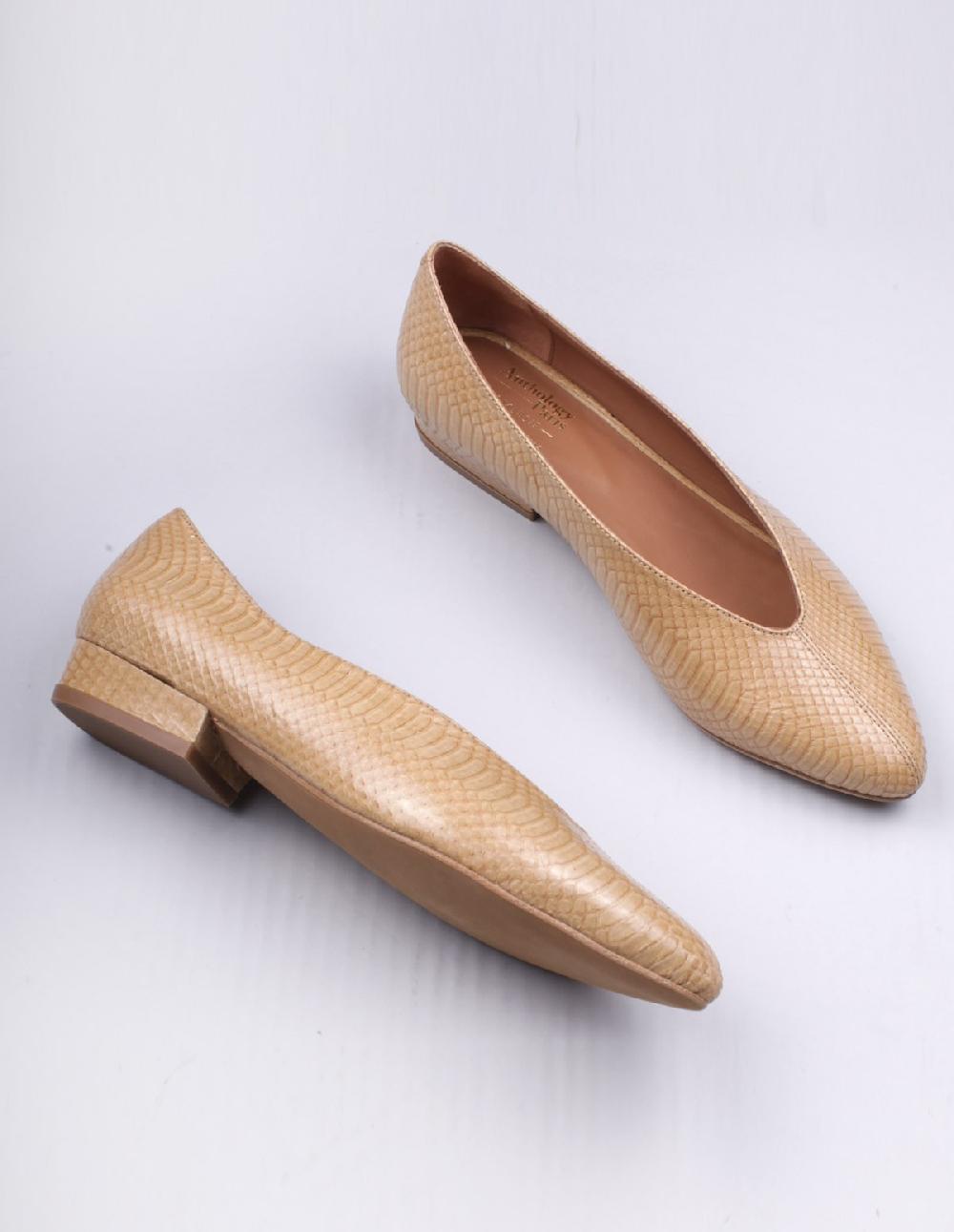 French Trotters Antho Abbie Exclu Ft