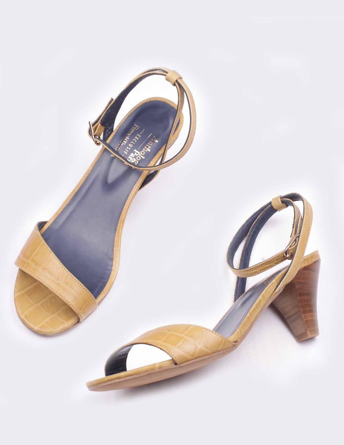 French Trotters Antho Brittany Exclu Ft