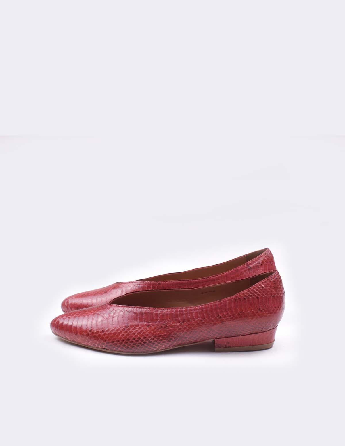 French Trotters Antho Exclu Ft Abbie