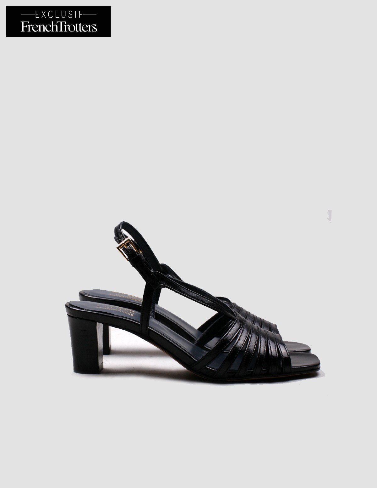 French Trotters Antho Tuscan Exclu