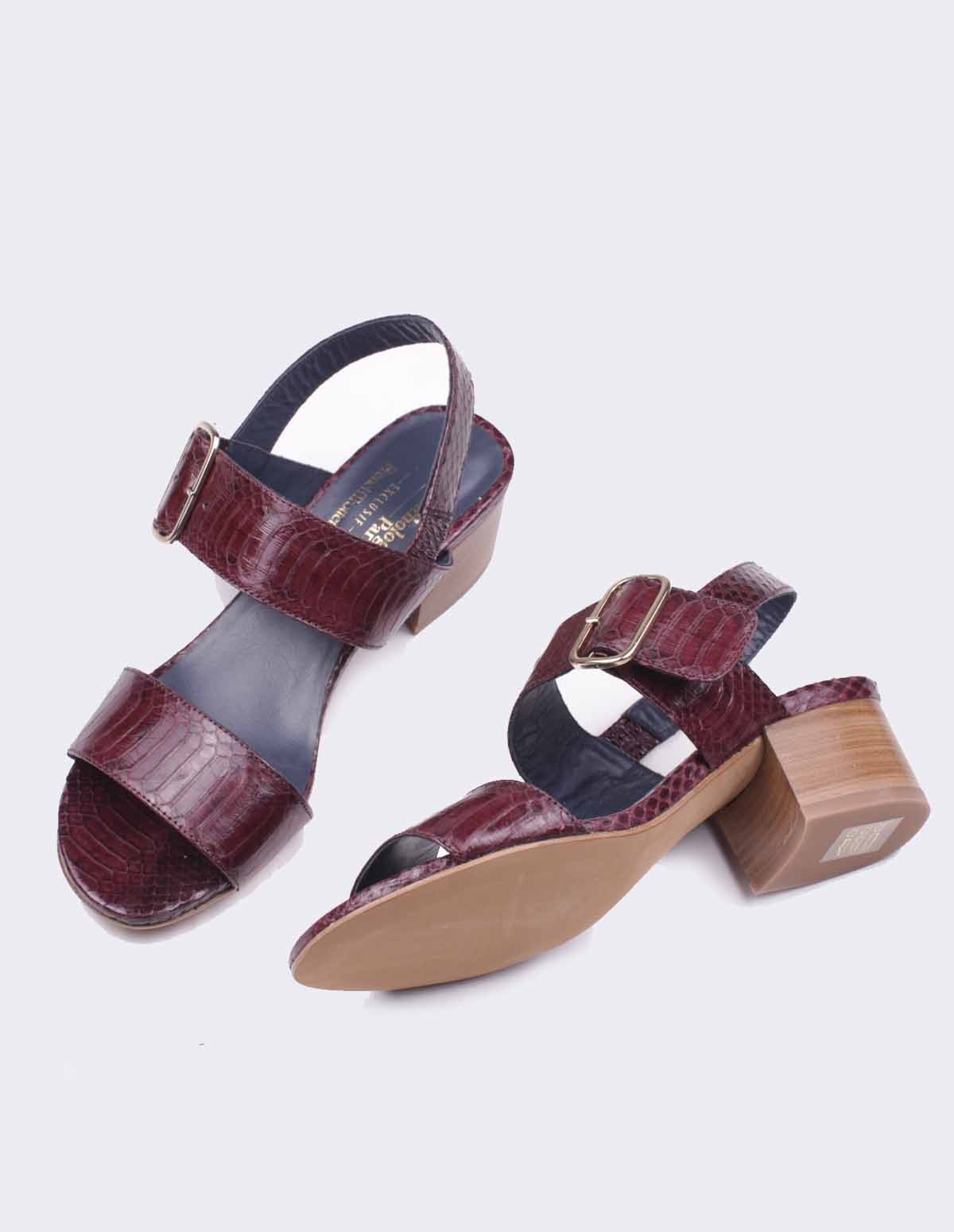 French Trotters Antho Urbaine Exclu Ft