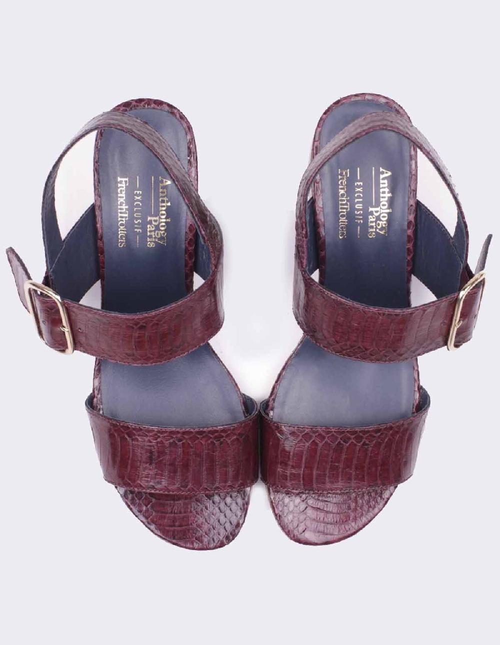 French Trotters Antho Urbaine Exclu Ft